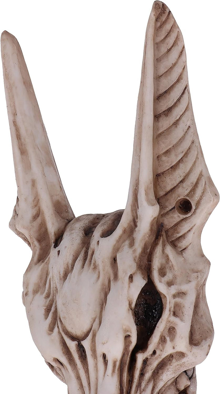 Nemesis Now Anubis' Guard Türklopfer, 25,4 cm, braun, 25.4cm