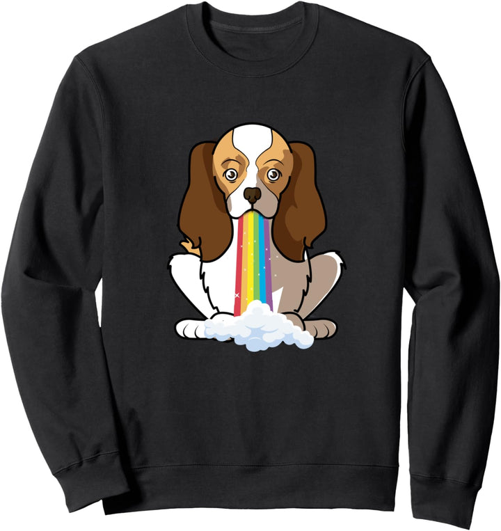 Lustige Cavalier King Charles Spaniel Hund in Regenbogen Sweatshirt