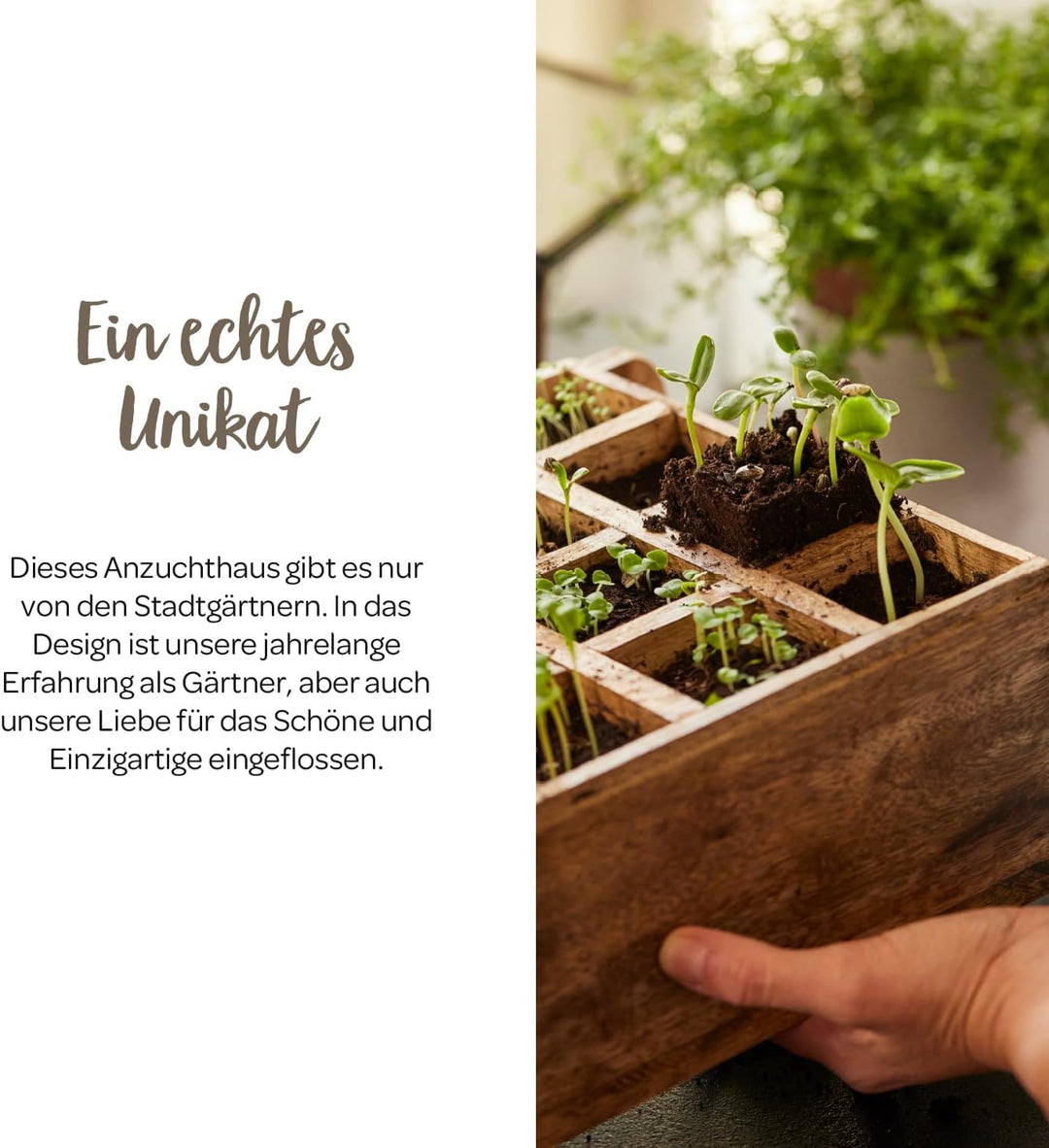 Modernes Gewächshaus als Deko, für Anzucht & für Kräuter | Aus Glas, recyceltem Holz und Metall | Zi