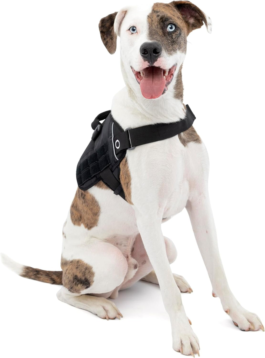 Kurgo RSG Townie Hundegeschirr, Einfaches Anlegen und Abnehmen, Einstellbare Brust- und Bauchgurte,