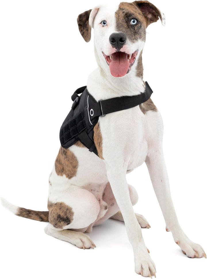 Kurgo RSG Townie Hundegeschirr, Einfaches Anlegen und Abnehmen, Einstellbare Brust- und Bauchgurte,