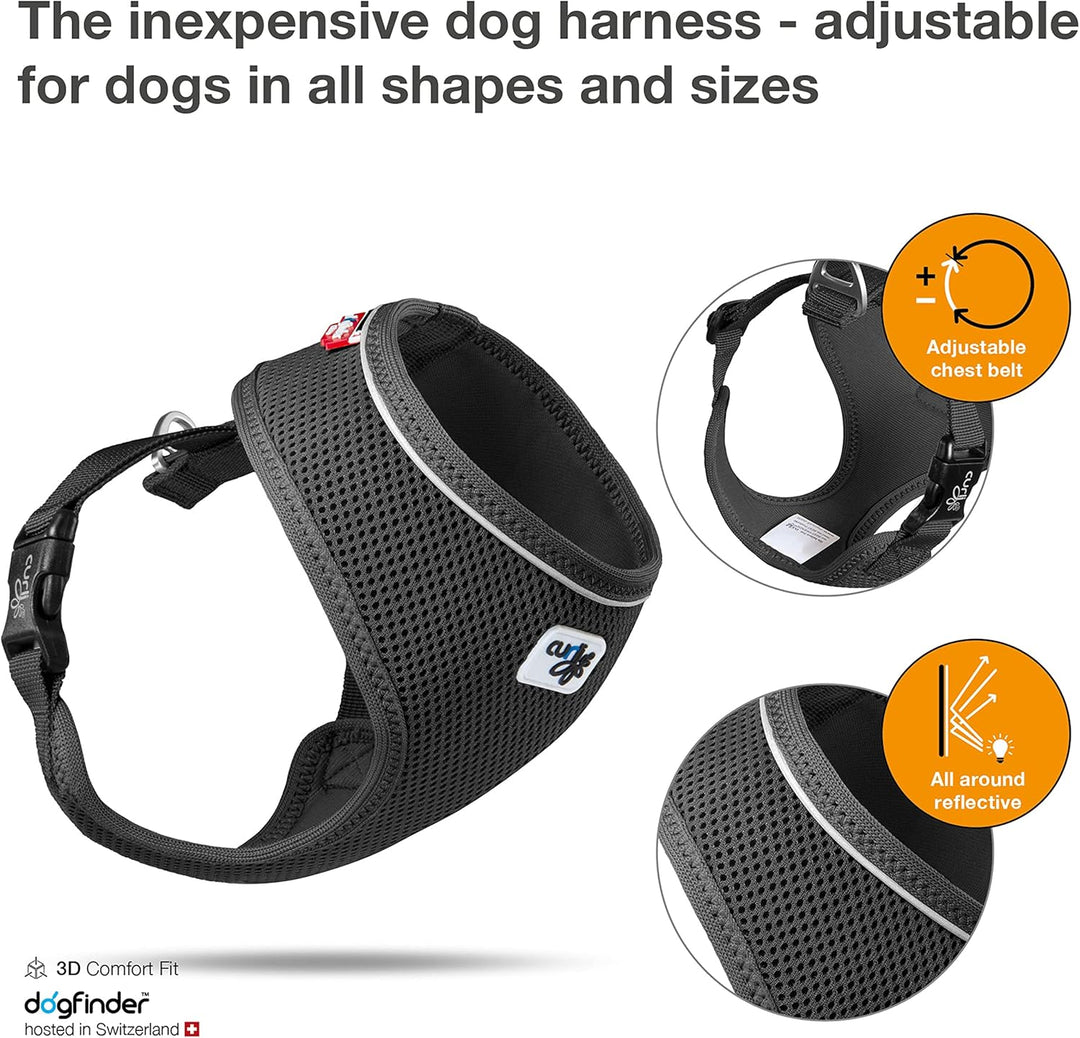 Basic Harness Air-Mesh Black XL XL Black, XL Black