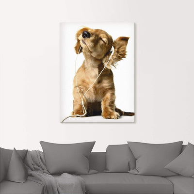 Artland Leinwandbild Wandbild Bild auf Leinwand 60x80 cm Wanddeko Hund Tiere Musik Dackel Welpen Lus