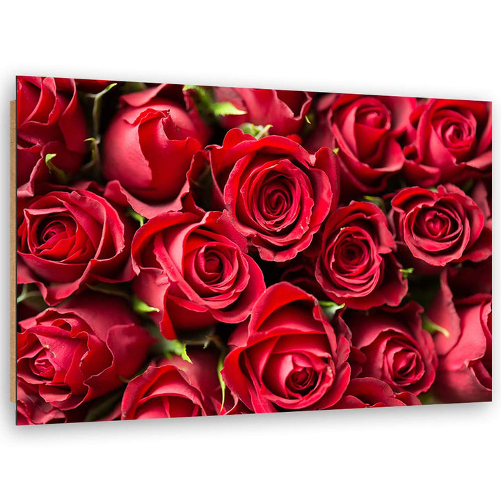 Wandbild XXL Natur Deko Kunst Bilder Blume Rot 120x80 cm M14550 120x80 cm, M14550 120x80 cm