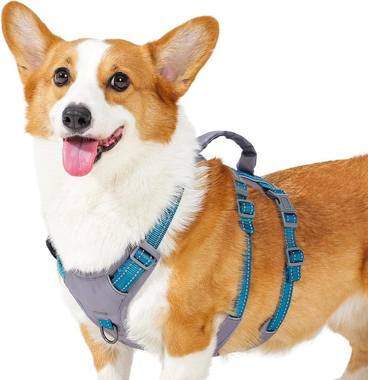 Huntboo Sicherheitsgeschirr Hund Ausbruchsicher, Panikgeschirr für Hunde, Reflektierendes Geschirr H