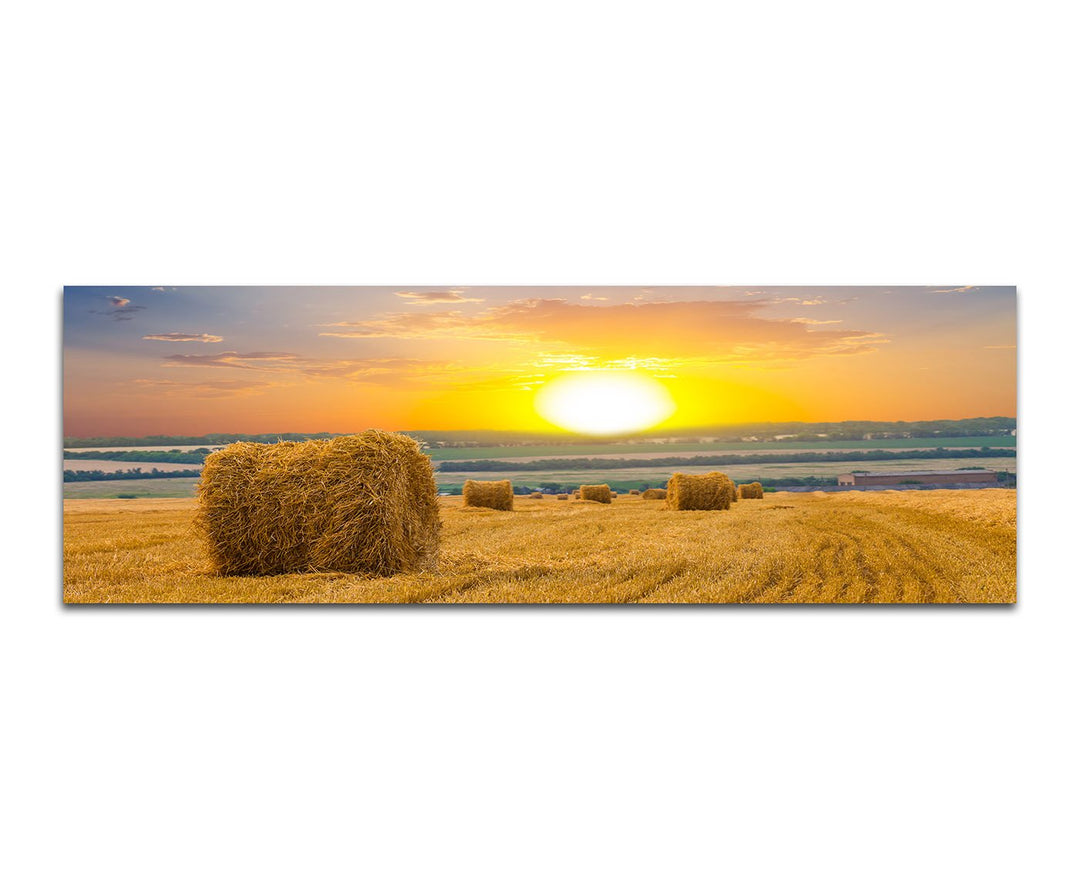 Paul Sinus Art Panoramabild auf Leinwand und Keilrahmen 150x50cm Feld Strohballen Herbst Sonnenunter