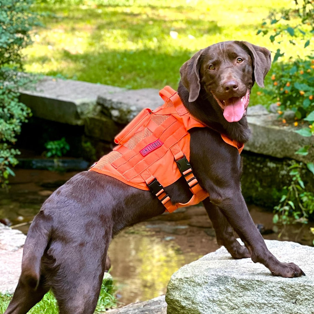 OneTigris No-Pull Hundegeschirr, AIRE MESH Einstellbar Sicherheitsgeschirr Ultra Atmungsaktiv für Gr