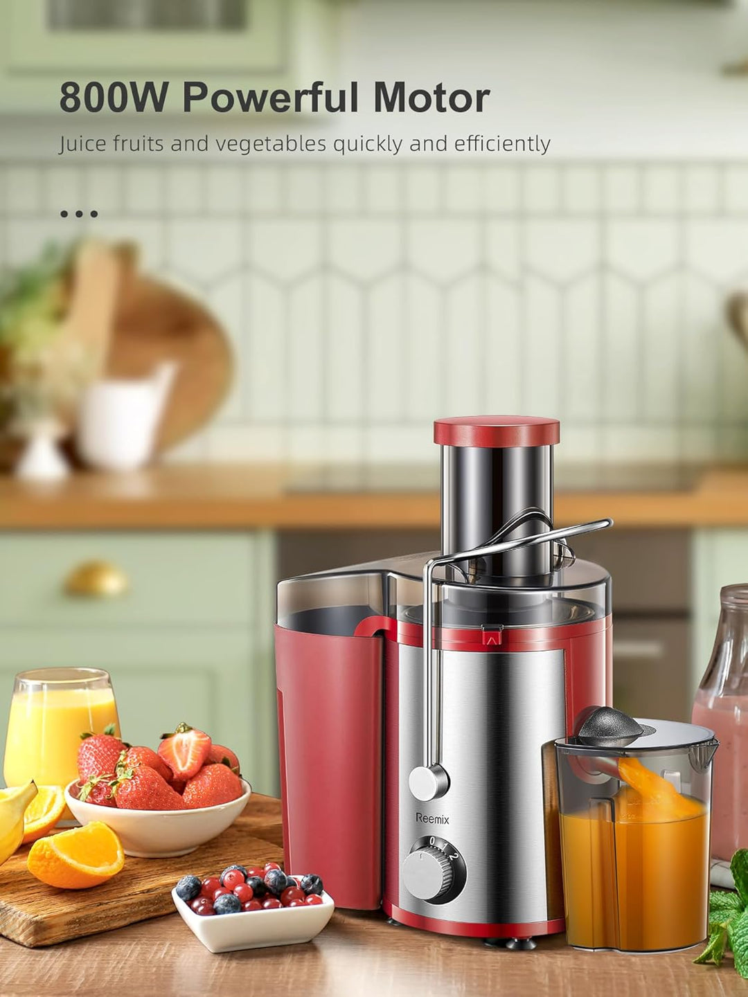 Reemix Entsafter Gemüse und Obst, Max Juicer Machine aus Edelstahl mit 3 Geschwindigkeitsstufen, 65m