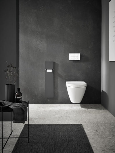 Emco Asis Pure Unterputz-WC-Modul, Badezimmerschrank als Klobürsten- und Toilettenpapierhalter mit e