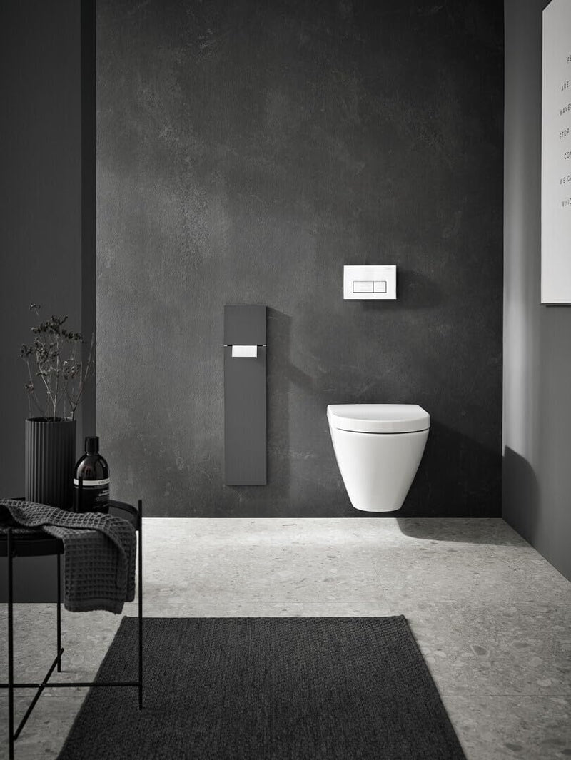 Emco Asis Pure Unterputz-WC-Modul, Badezimmerschrank als Klobürsten- und Toilettenpapierhalter mit e