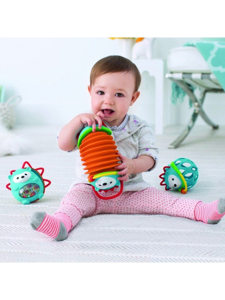 Skip Hop Explore &amp; More Igel Akkordeon mit Beissring, Spielzeug Musikinstrument ab 6 Monaten Akkorde