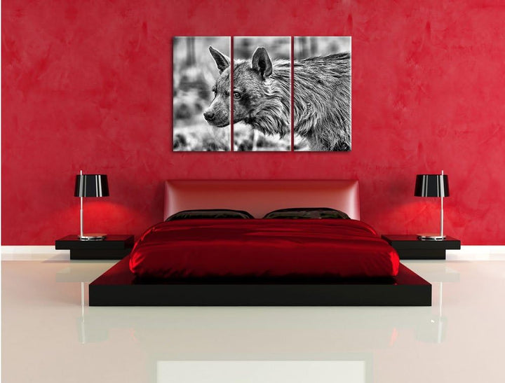 Pixxprint anmutige Hyäne im Wildgras als Leinwandbild/Grösse: 3 Teilig (120x80) cm/Wandbild/Kunstdru