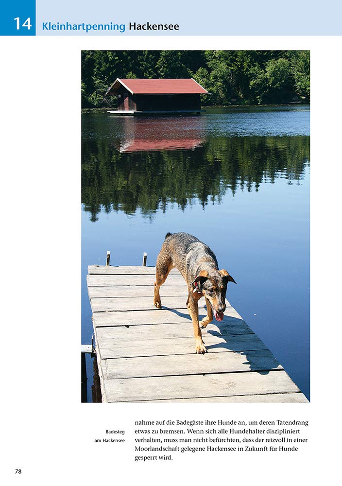 Die schönsten Wanderungen mit Hunden: Oberbayern Aktualisierte Neuauflage! Jetzt 36 Touren, Taschenb