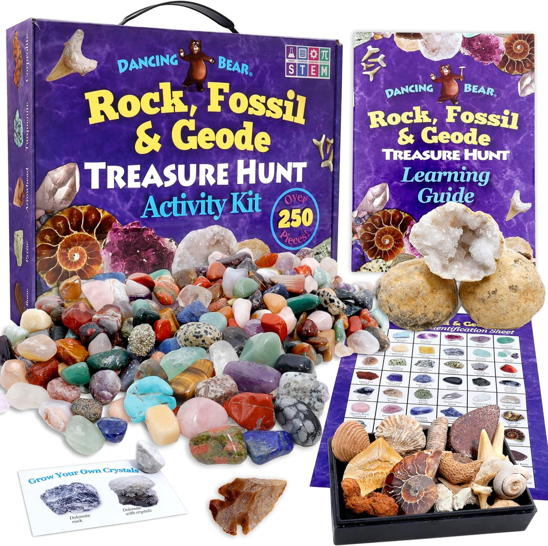 Dancing Bear's Rocks and Minerals Rock & Mineral Collection Kit mit 2 Easy Pause Geodes Activity Kit