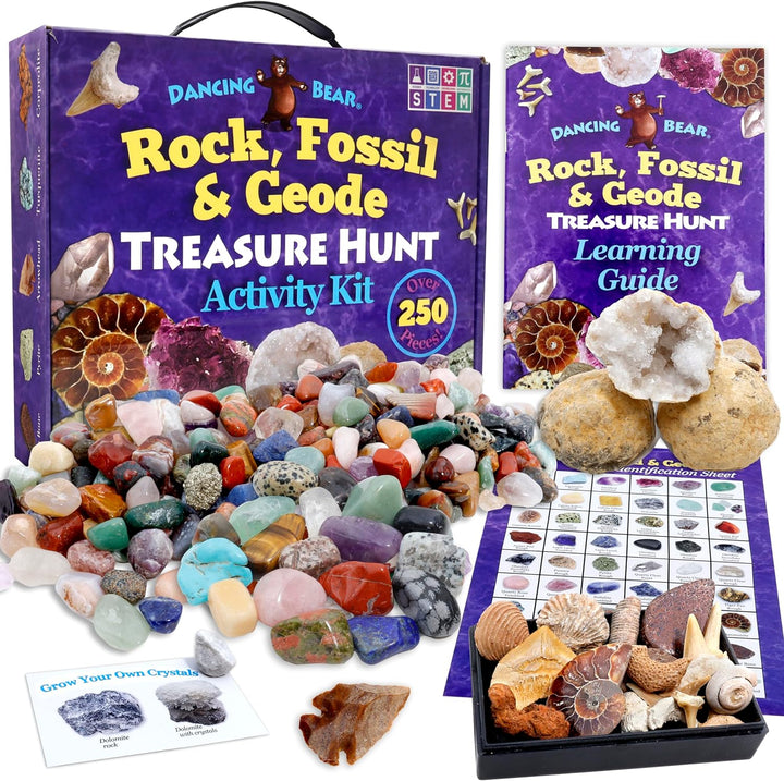 Dancing Bear's Rocks and Minerals Rock & Mineral Collection Kit mit 2 Easy Pause Geodes Activity Kit