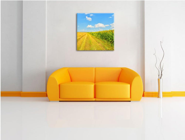 Pixxprint Feldweg am Wald, Format: 70x70 auf Leinwand, XXL riesige Bilder fertig gerahmt mit Keilrah