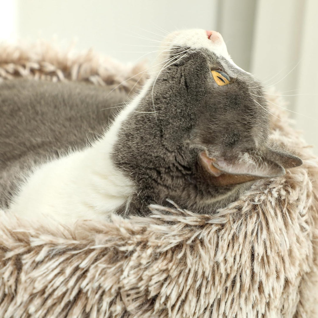 PawHut Kratzbaum 87 cm hoch Katzenbaum mit Bett, dick Stamm, Katzenkratzbaum mit Sisal-Kratzsäulen,