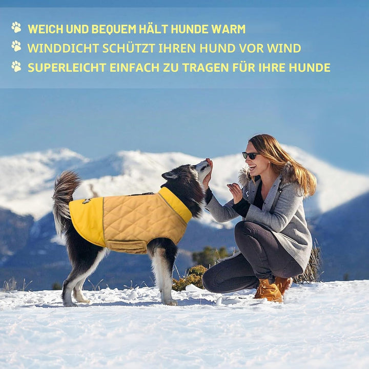 Idepet Winddichter Hundemantel Winter Warme Jacke,Anti-Schneeanzug Hundebekleidung für kleine mittel