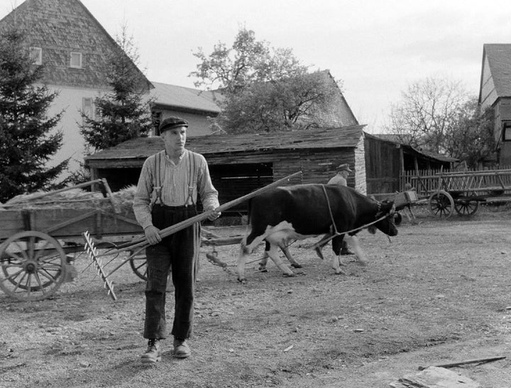 Heimat 1 - Eine deutsche Chronik (Director's Cut, Kinofassung, 7 Discs, Digital Remastered)