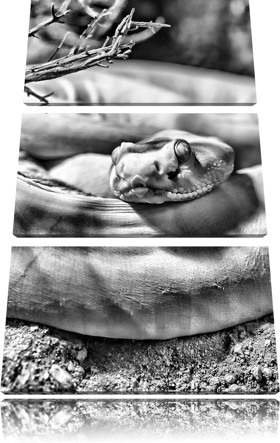 Pixxprint gelbe Schlange / 3-Teilig/Gesamtmass 120cm Leinwandbild bespannt auf Holzrahmen/Wandbild K