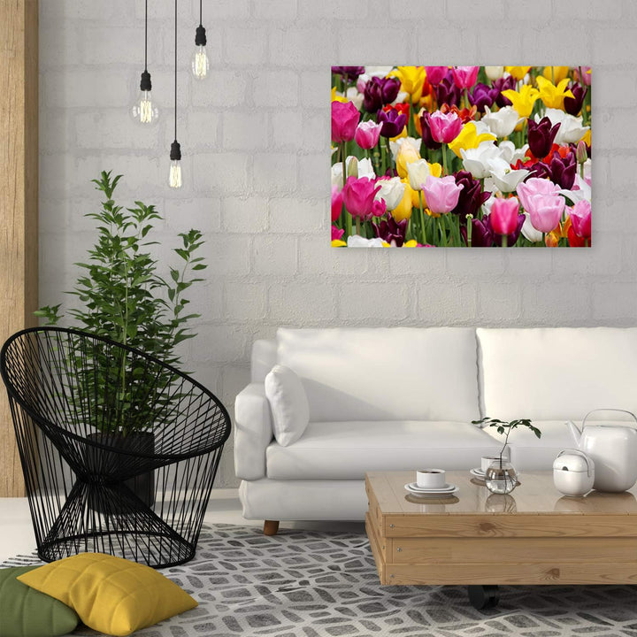 Feeby Leinwandbild Pflanze Bild Kunstdruck Tulpen mehrfarbig 70x50 cm Leinwandbild 70x50 cm mehrfarb