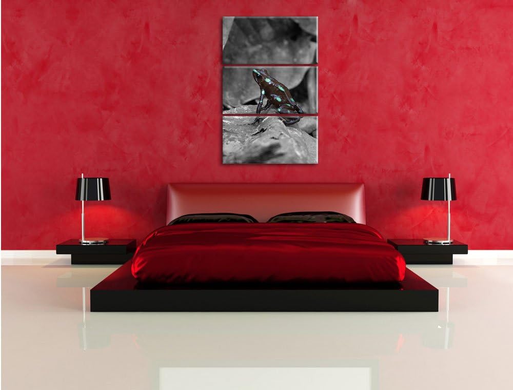 Pixxprint Baumsteiger Frosch als Leinwandbild/Grösse: 3 Teilig (120x80) cm/Wandbild/Kunstdruck/ferti
