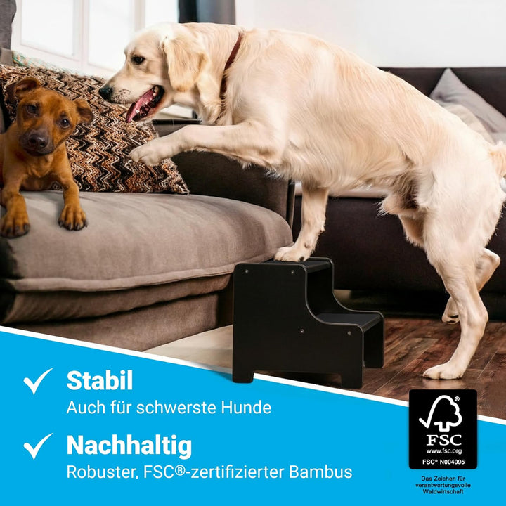 AMAZINGs Haustiertreppe für kleine, mittlere und schwere Hunde, Katzen. 2 Stufen | Hundetreppe + Kat
