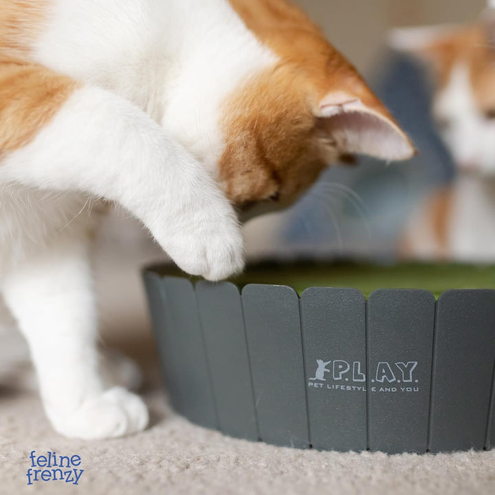 P.L.A.Y. Lifestyle and You Peek-A-Boo Maus Interaktives Katzenspielzeug