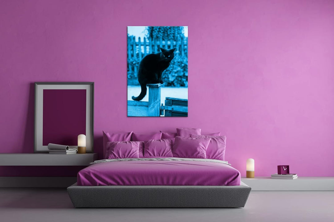 deyoli thronende Schwarze Katze Format 120x80 Effekt: Monocrome Blau als Leinwandbild, Motiv fertig