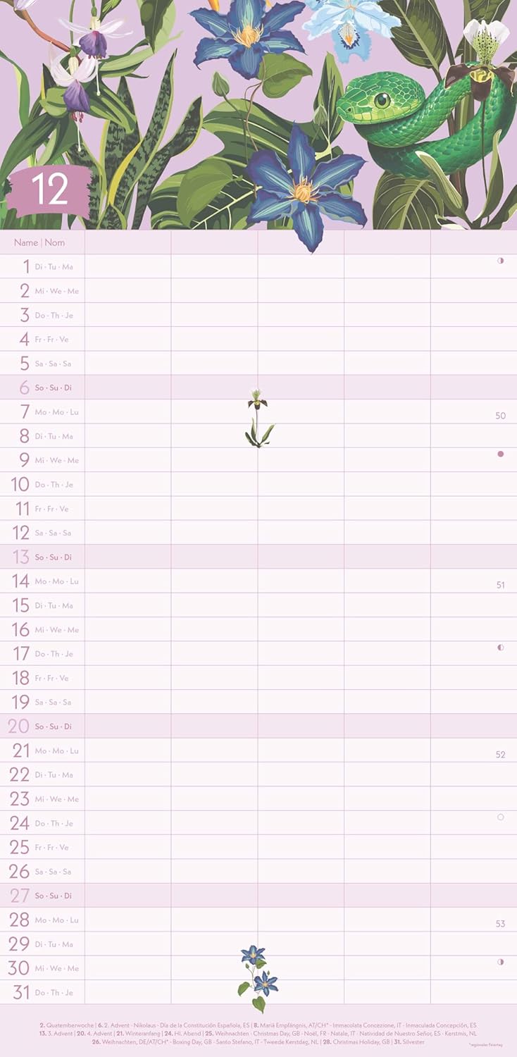 GreenLine - Jungle 2026 – Familienplaner 22x45 cm, nachhaltiger Wandkalender mit 5 Spalten, exotisch