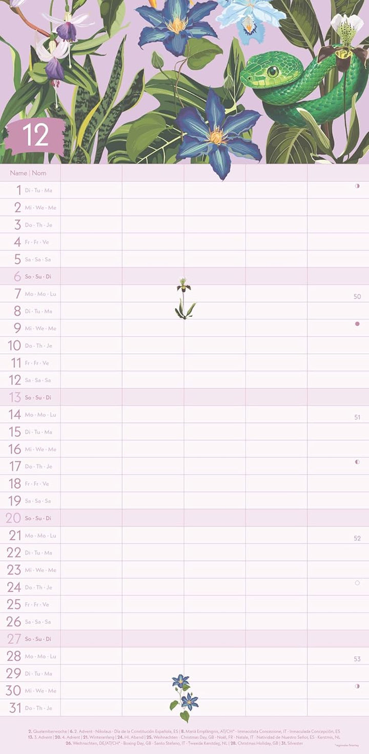 GreenLine - Jungle 2026 – Familienplaner 22x45 cm, nachhaltiger Wandkalender mit 5 Spalten, exotisch