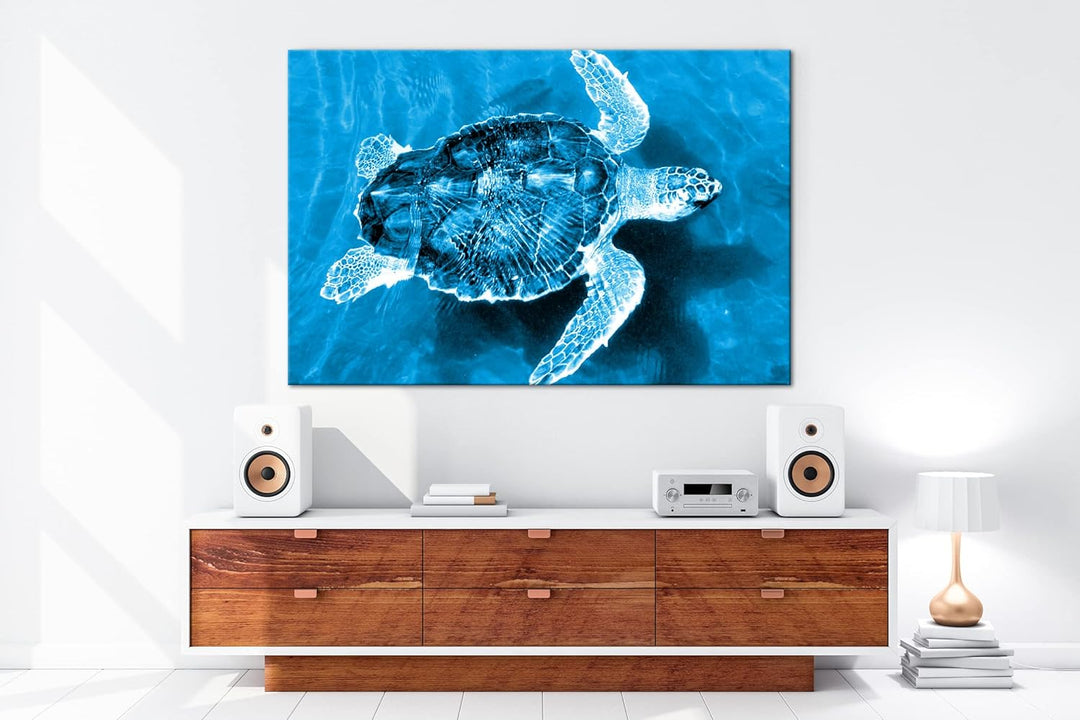 deyoli liebenswerte Schildkröte Format 60x40 Effekt: Monocrome Blau als Leinwandbild, Motiv fertig g