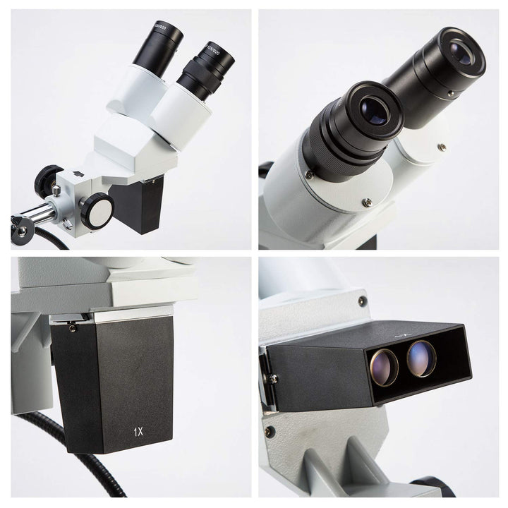 SWIFT Optical Professionelles Niveau 10X / 20X-Vergrösserung Binokulares Stereo-Mikroskop mit Weitwi