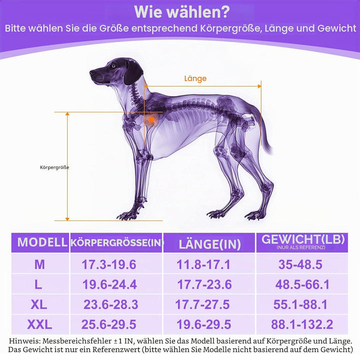 Hunderollstuhl für Hinterbeine - Hunderollstuhl, L