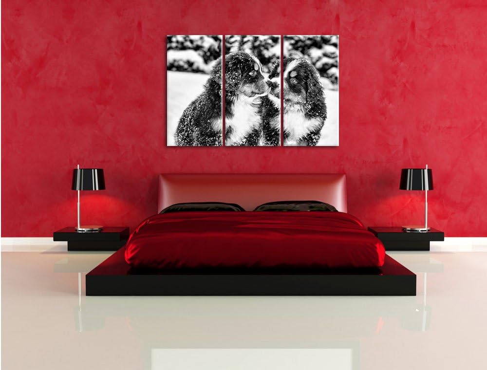 Pixxprint Monocrome, Bernersennen Hunde Welpen im Schnee 3-Teiler Leinwandbild 120x80 Bild auf Leinw
