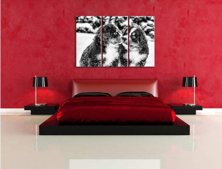 Pixxprint Monocrome, Bernersennen Hunde Welpen im Schnee 3-Teiler Leinwandbild 120x80 Bild auf Leinw