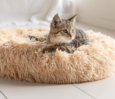 Dehner Lieblinge Hunde- und Katzenbett Cookie, Grösse L, ca. Ø 76 cm, Höhe ca. 17 cm, Polyester, bei