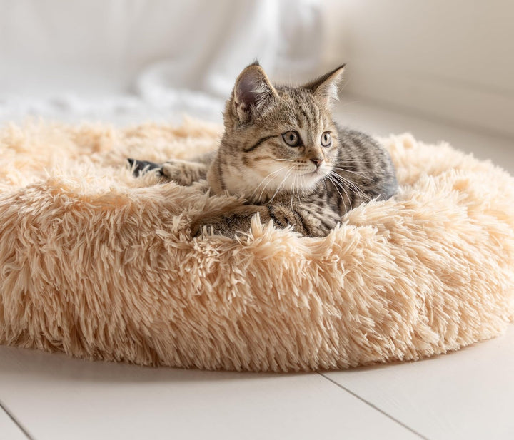Dehner Lieblinge Hunde- und Katzenbett Cookie, Grösse L, ca. Ø 76 cm, Höhe ca. 17 cm, Polyester, bra
