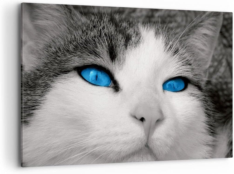 Bilder auf Leinwand 100x70cm Leinwandbild Katze Tiere blaue Augen Gross Wanddeko Bild Schlafzimmer K