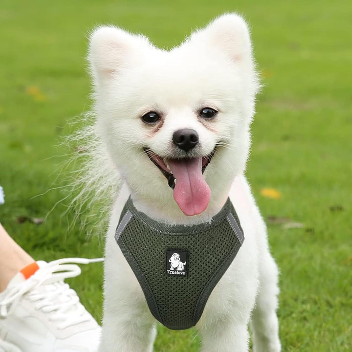 True Love Hundegeschirr, weiches Air-Mesh, verstellbar, reflektierend, Haustierweste für kleine und