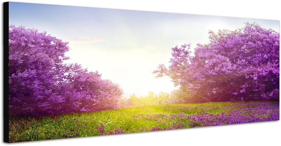 Paul Sinus Art Panoramabild auf Leinwand und Keilrahmen 150x50cm Wiese Sträucher Blumen Frühling Son