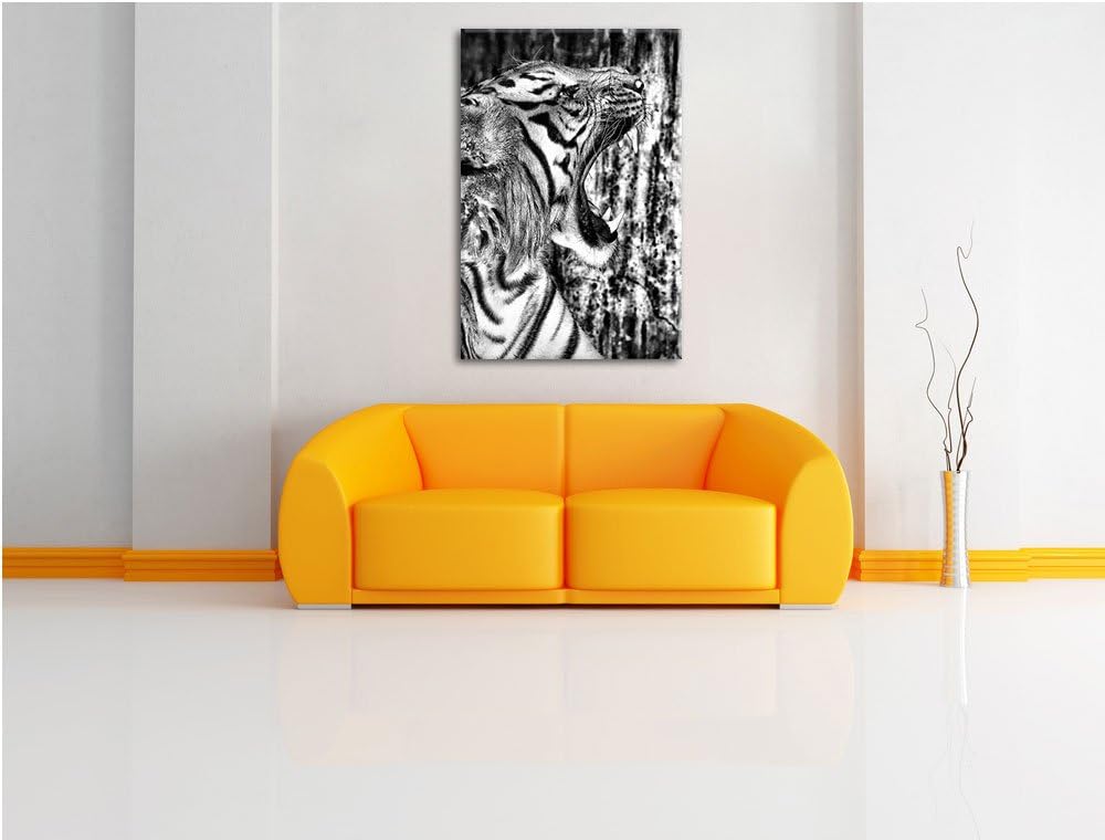 Pixxprint Monocrome, Brüllender Tiger, Format: 100x70 auf Leinwand, 100x70