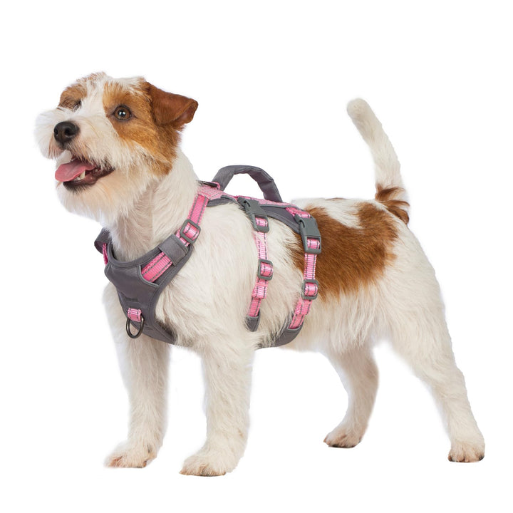 Huntboo Sicherheitsgeschirr Hund Ausbruchsicher, Panikgeschirr für Hunde, Reflektierendes Geschirr H