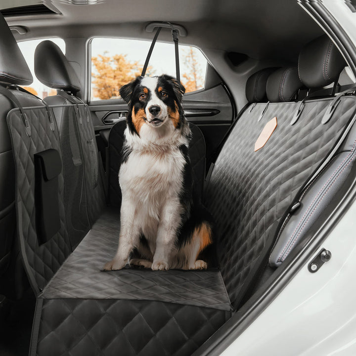 Rudelkönig Hundedecke für Auto Rückbank - Wasserabweisende Autoschondecke für Hunde mit Seitenschutz