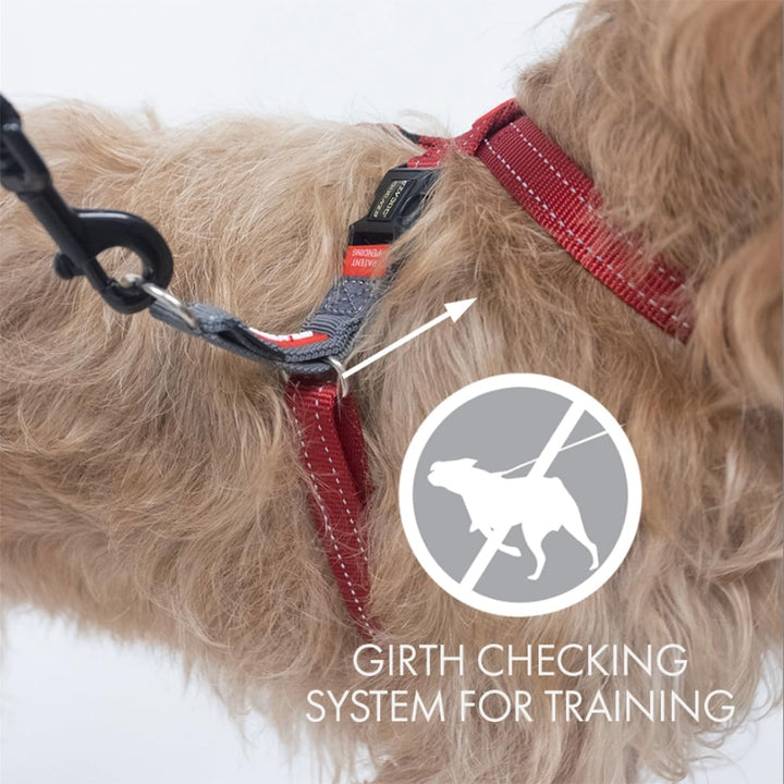 EzyDog Anti Zieh Geschirr Hund - Crosscheck Hundegeschirr für Kleine, Mittelgrosse und Grosse Hunde,