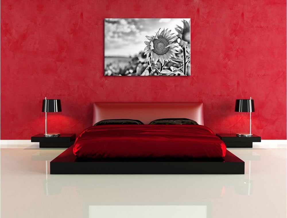Pixxprint Sonnenblumenfeld SonnenblumeSonne / 100x70cm Leinwandbild bespannt auf Holzrahmen/Wandbild