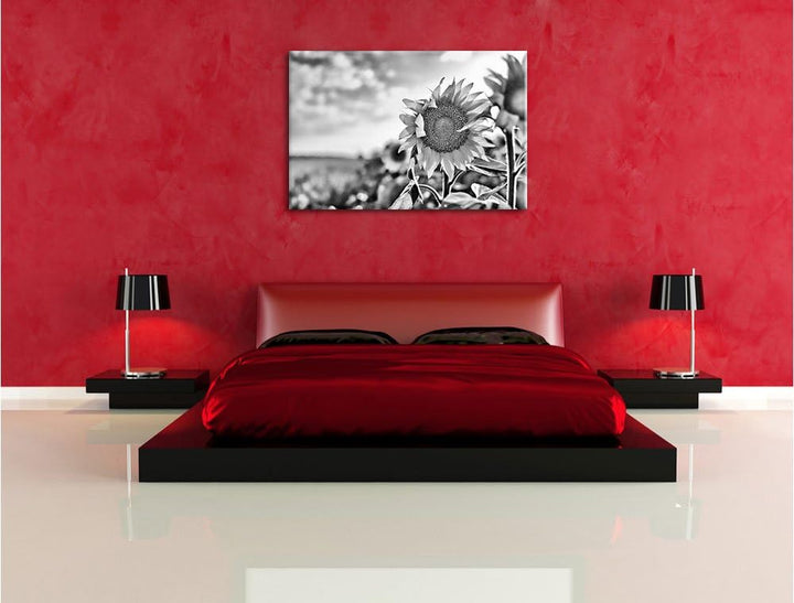 Pixxprint Sonnenblumenfeld SonnenblumeSonne / 100x70cm Leinwandbild bespannt auf Holzrahmen/Wandbild