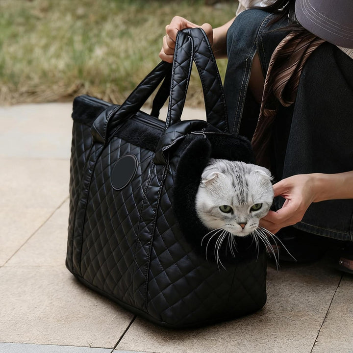 Tragetasche Für Haustiere,wasserdichte verstellbare Schultergurt-Tasche - Hundetragetasche - Für Win