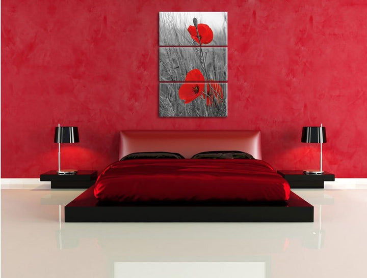 Pixxprint einzelne Mohnblumen im Getreidefeld als Leinwandbild/Grösse: 3 Teilig (120x80 cm) cm/Wandb