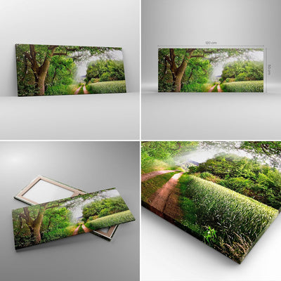 Wandbilder Dekoration Wohnzimmer Pfad Natur Wald Grün Panorama Bilder auf Leinwand 120x50cm Leinwand